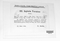 Septoria veronicae image
